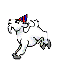 Party goat