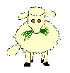 Sheep chews