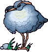 Bird 5