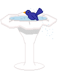 Bird bath 3