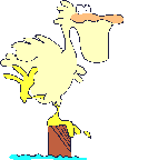 Cartoon pelican