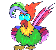 Coloful parrot