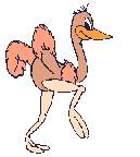 Ostrich 2