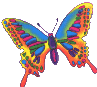 Neon butterfly