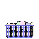 Cat in basket