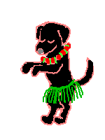 Labrador hula