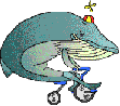 Whale on bike