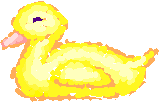 Ducky 3