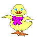 Ducky flaps