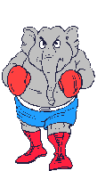 Elephant boxer
