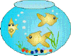 Fishes in bowl