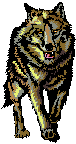 Wolf 2