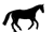 Black horse 2