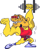 Lion Weightlifter