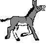 Donkey walks