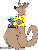 Kangaroo family