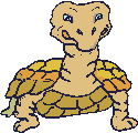 Turtle 4