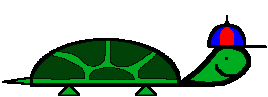 Turtle 6