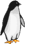 Penguin 4