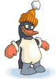 Penguin dressed