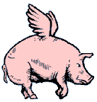 Pig flies 2