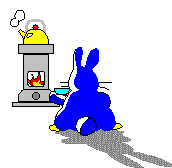Rabbit makes tea