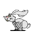 Rabbit runs