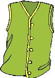 Greenish vest