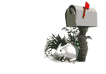 Rabbit and mailbox