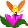 Flower fairy 5