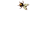 Human fly