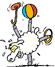 Circus sheep