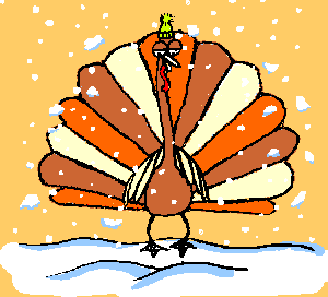 Winter turkey