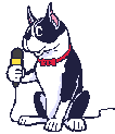 Cat sings