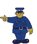 Traffic cop 5