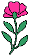 Pink petals 2