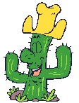 Cactus is shot