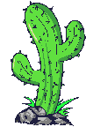Cactus shakes it