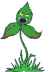 Hungry plant