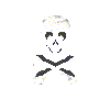 Skull & bones