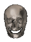 Skull 1