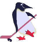 Penguin hockey