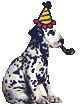 Birthday dalmatian