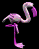 3D flamingo