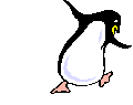 Funky penguin