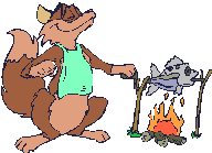 Fox roasts