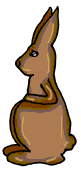 Chocolate Kangaroo