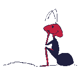 Ant waits