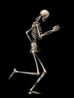 Big skeleton