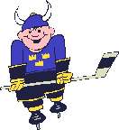 Hockey boy